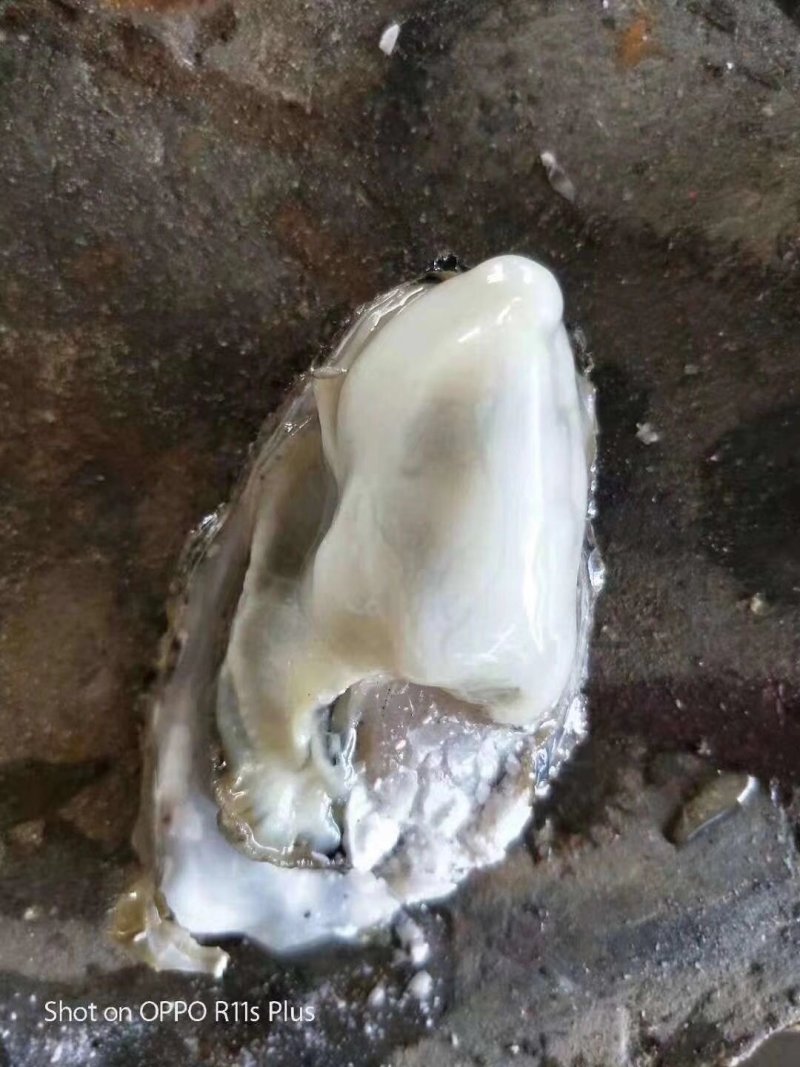 水产