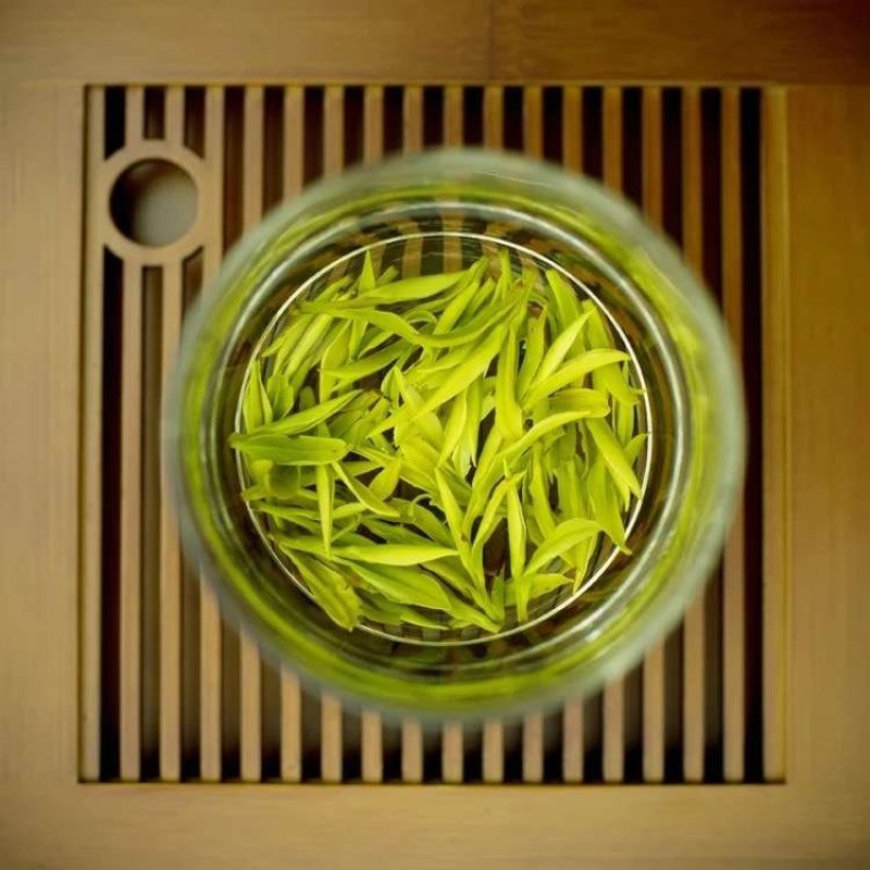 安吉白茶，特色绿茶
