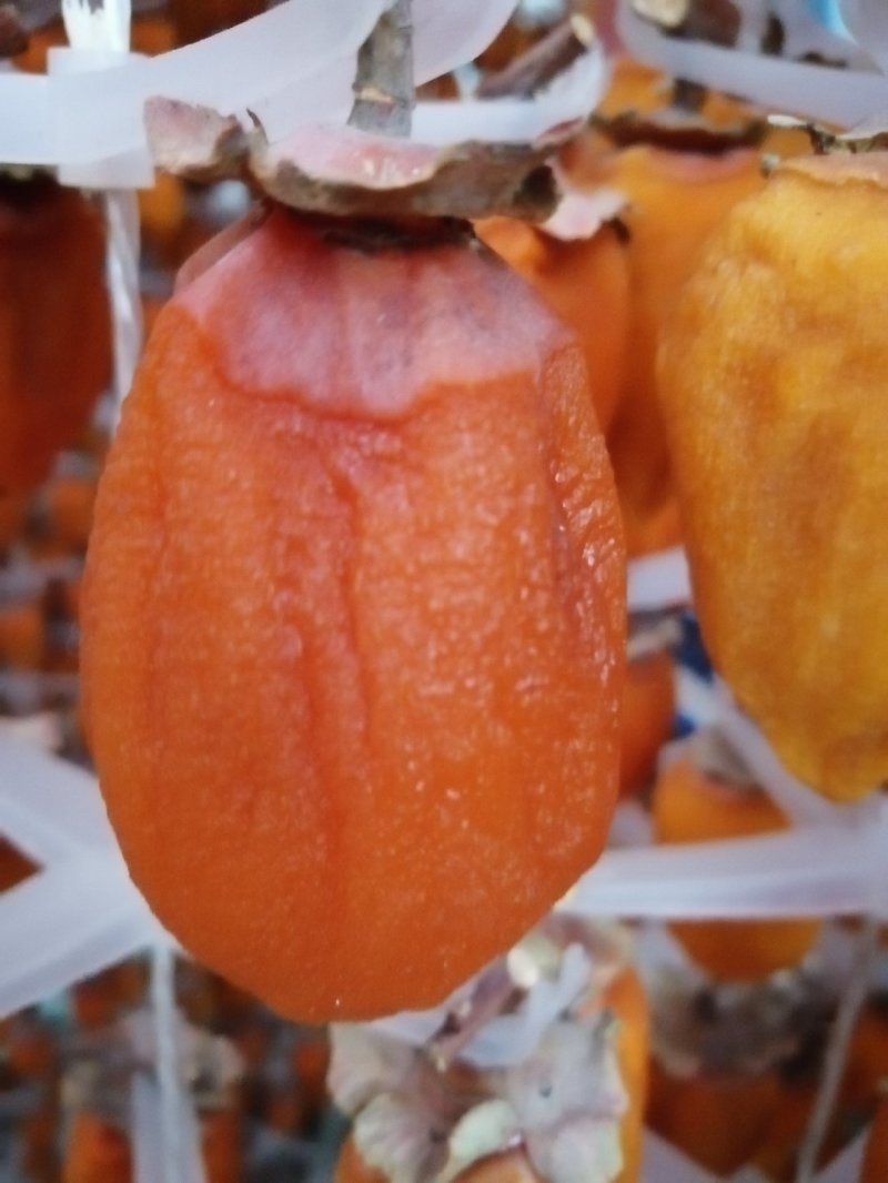 正宗富平庄里柿饼