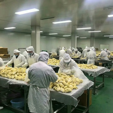 猫山王榴莲，泰国托曼尼榴莲肉，盒装260克