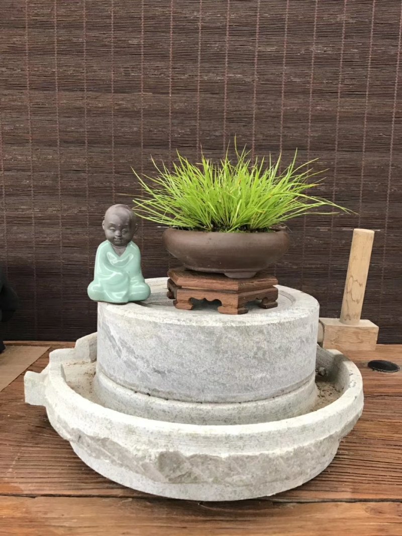 观叶植物
