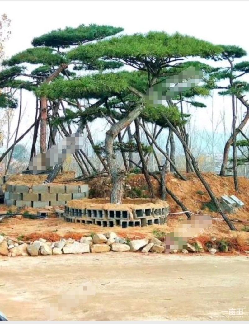 潍坊昌乐县200亩工业用地入股