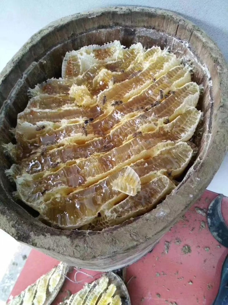 枇杷蜜
