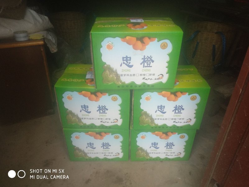 【顺丰包邮】福本脐橙甜橙一件代发现摘现发20斤装不催熟不打蜡