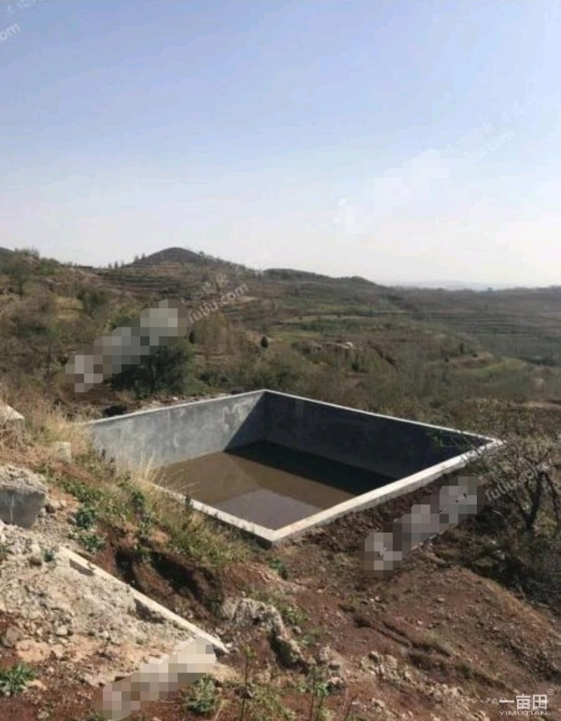 潍坊昌乐县320亩有林地出租