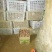 商薯19大量出售，窖存