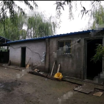 潍坊青州市60亩有林地转让