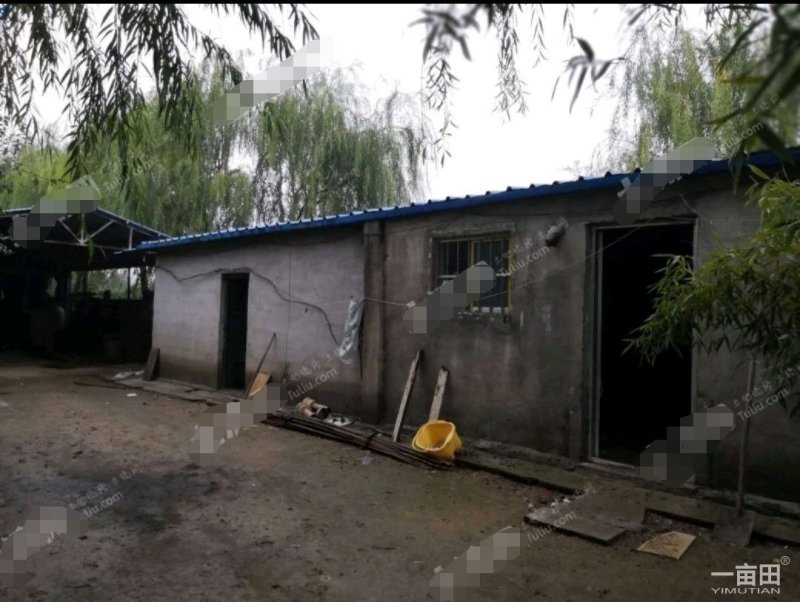 潍坊青州市60亩有林地转让