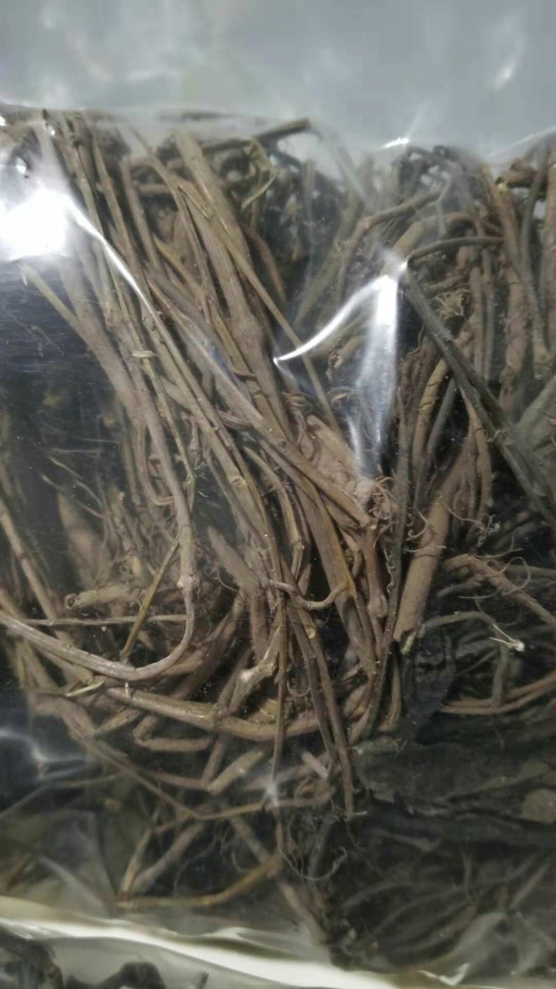 通管道野生通管道全草正品