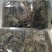 通管道野生通管道全草正品