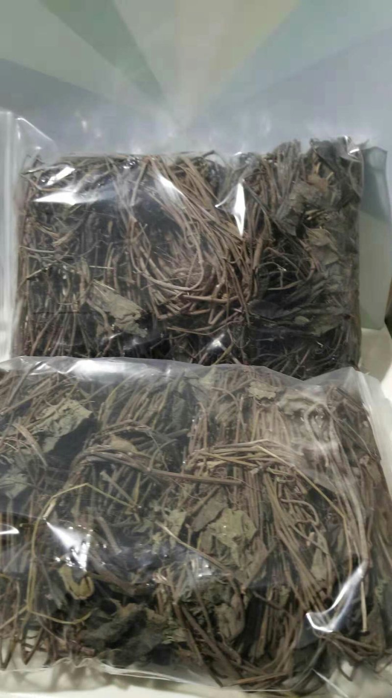 通管道野生通管道全草正品