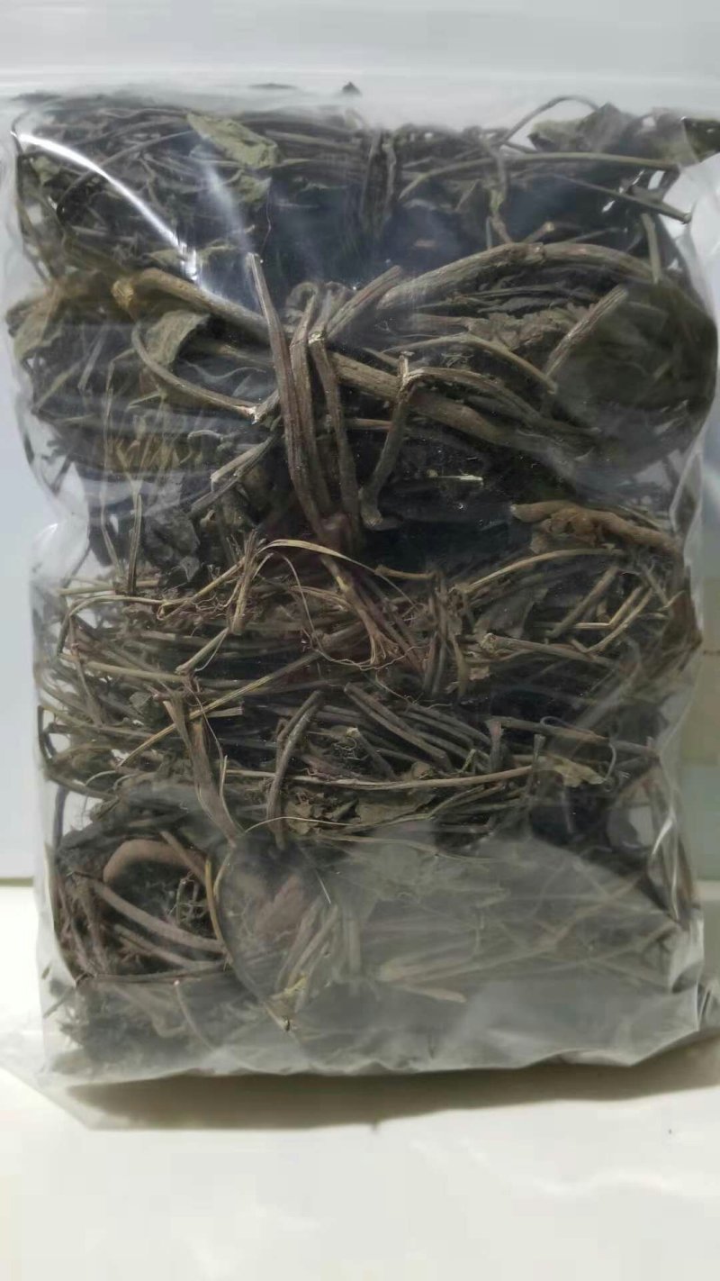 通管道野生通管道全草正品