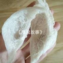 印尼燕窝
