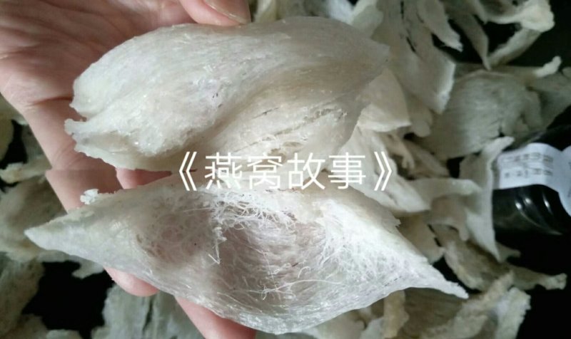 印尼燕窝