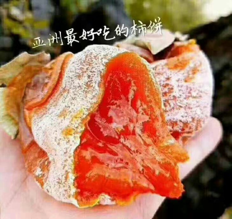 陕西特产富平柿饼一生只为做好“柿”