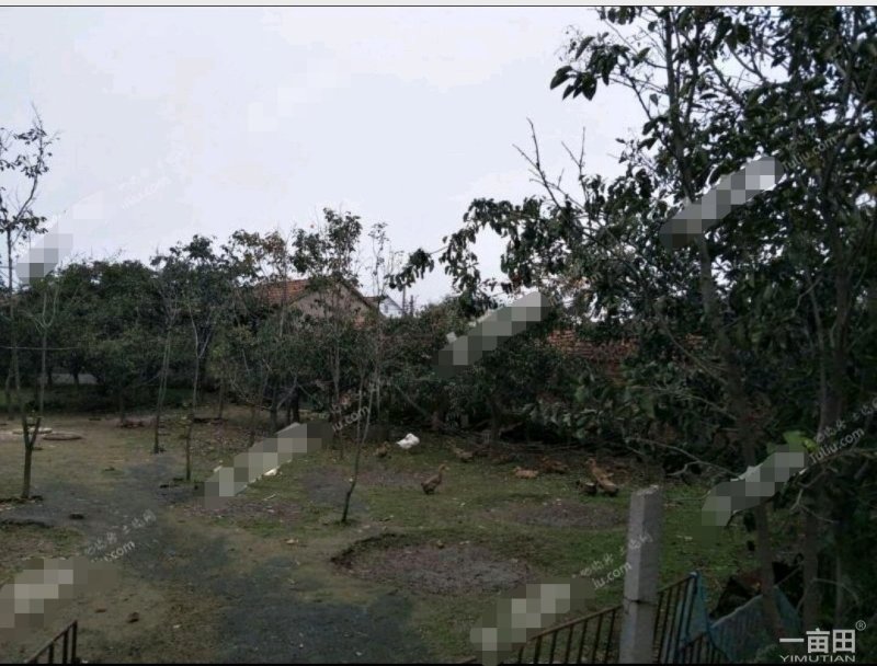 临沂沂南县200亩有林地出租40年200/亩