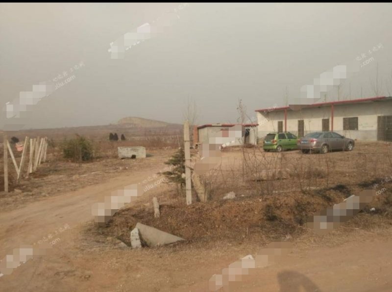 临沂罗庄区120亩山地转让12年价格面议