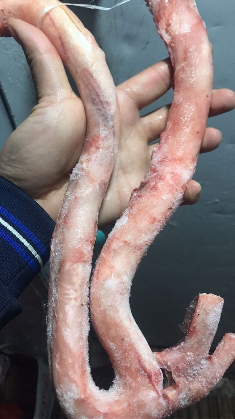 牛鞭