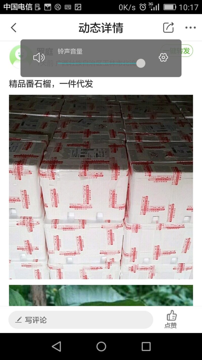 特甜红心番石榴一件代发
