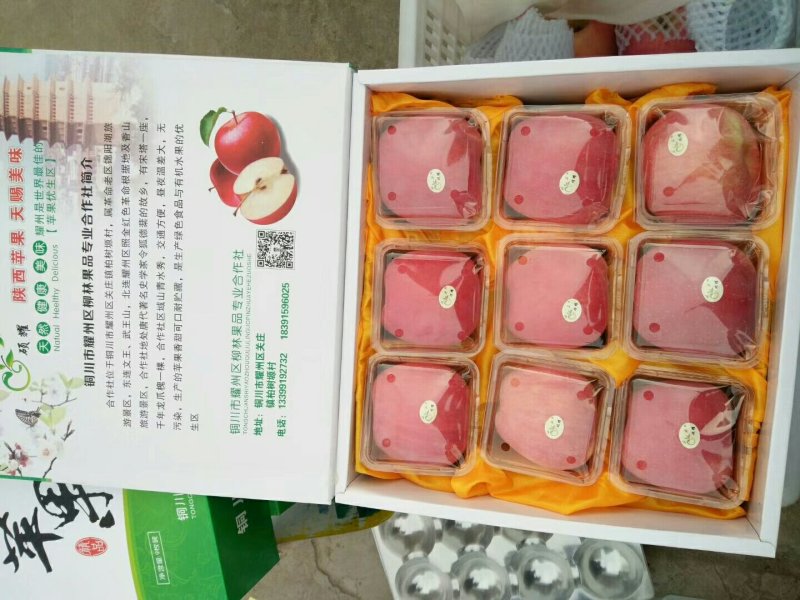 高原红富士苹果