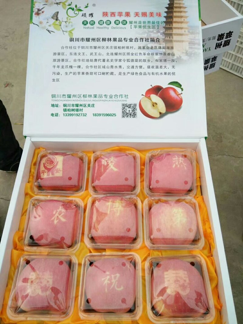 高原红富士苹果