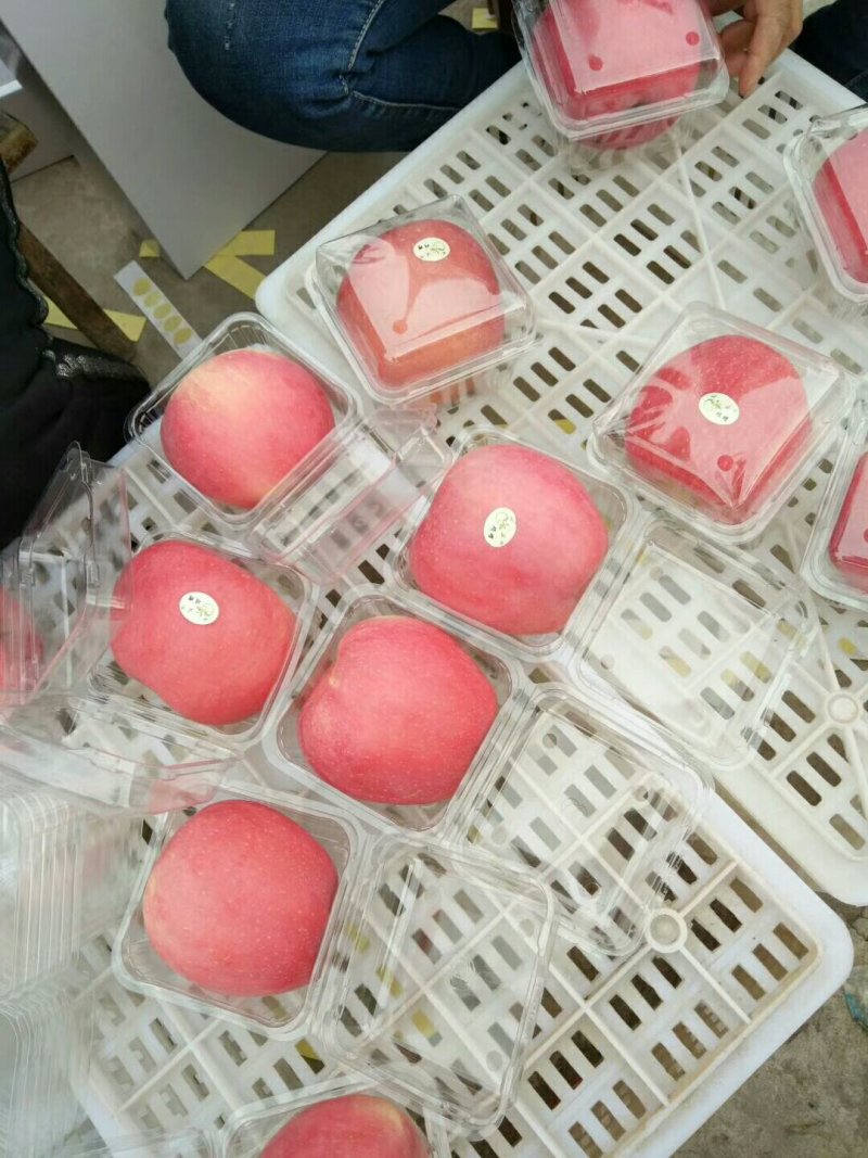 高原红富士苹果