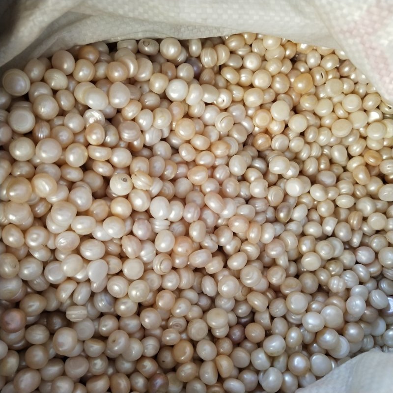 药用珍珠药用可打粉珍珠粉