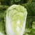 蔬菜