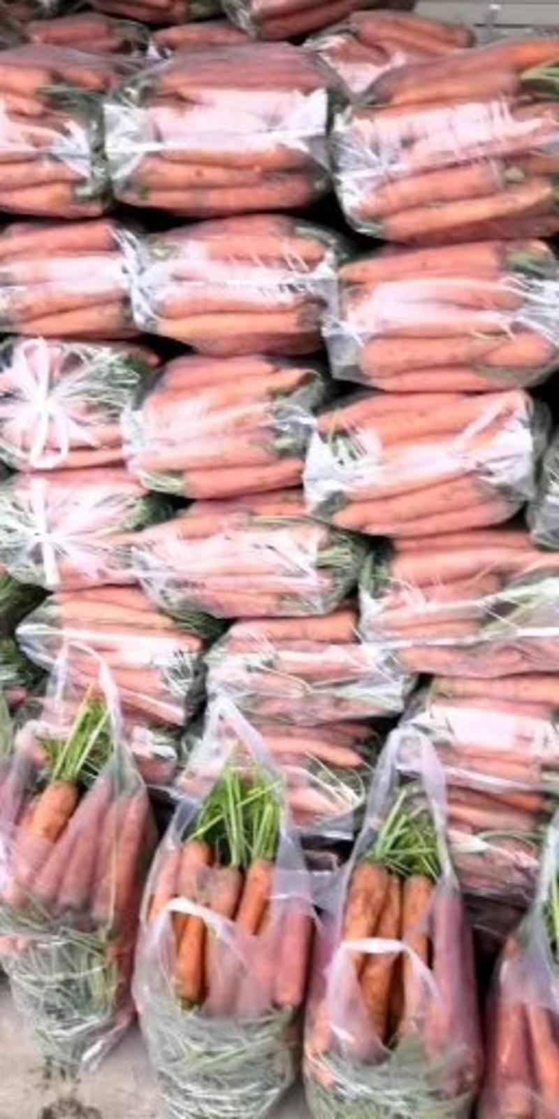 水洗三红胡萝卜一货货源货源稳定条形好口感好走市场超市