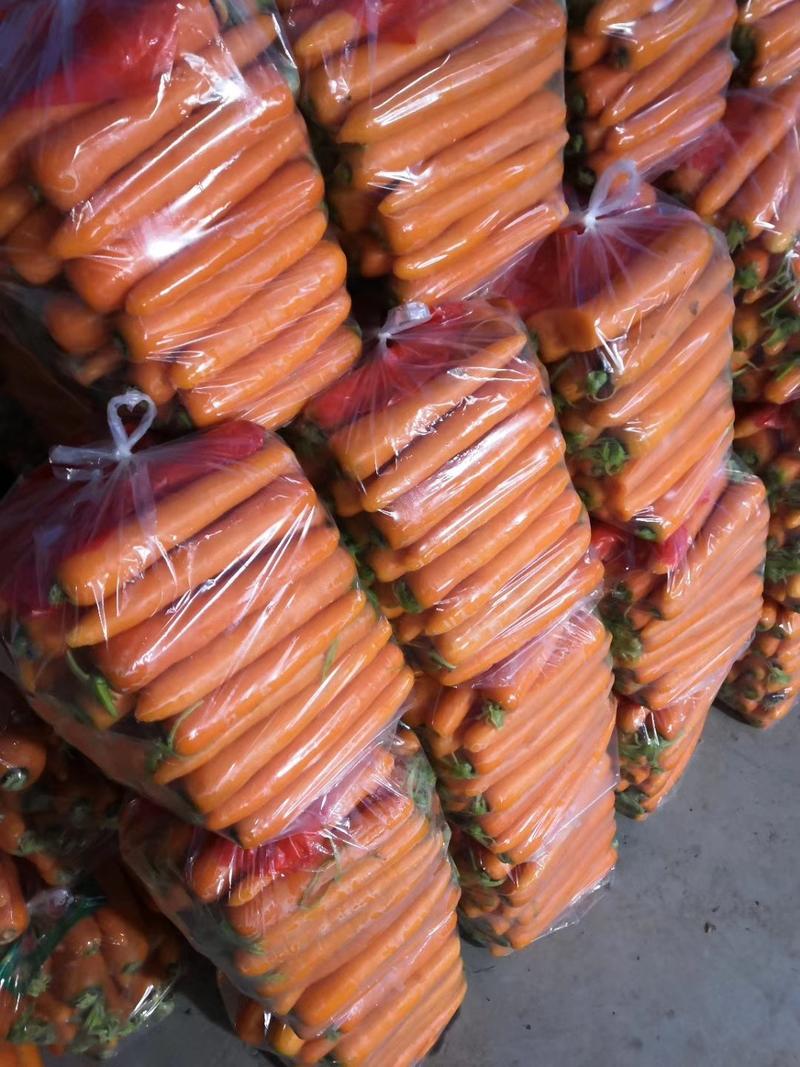 水洗三红胡萝卜一货货源货源稳定条形好口感好走市场超市