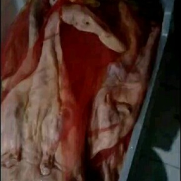 腌制腊肉