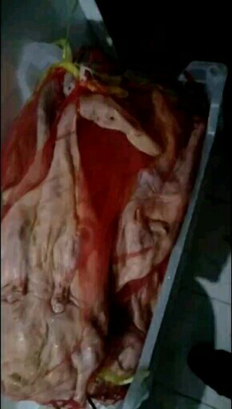腌制腊肉