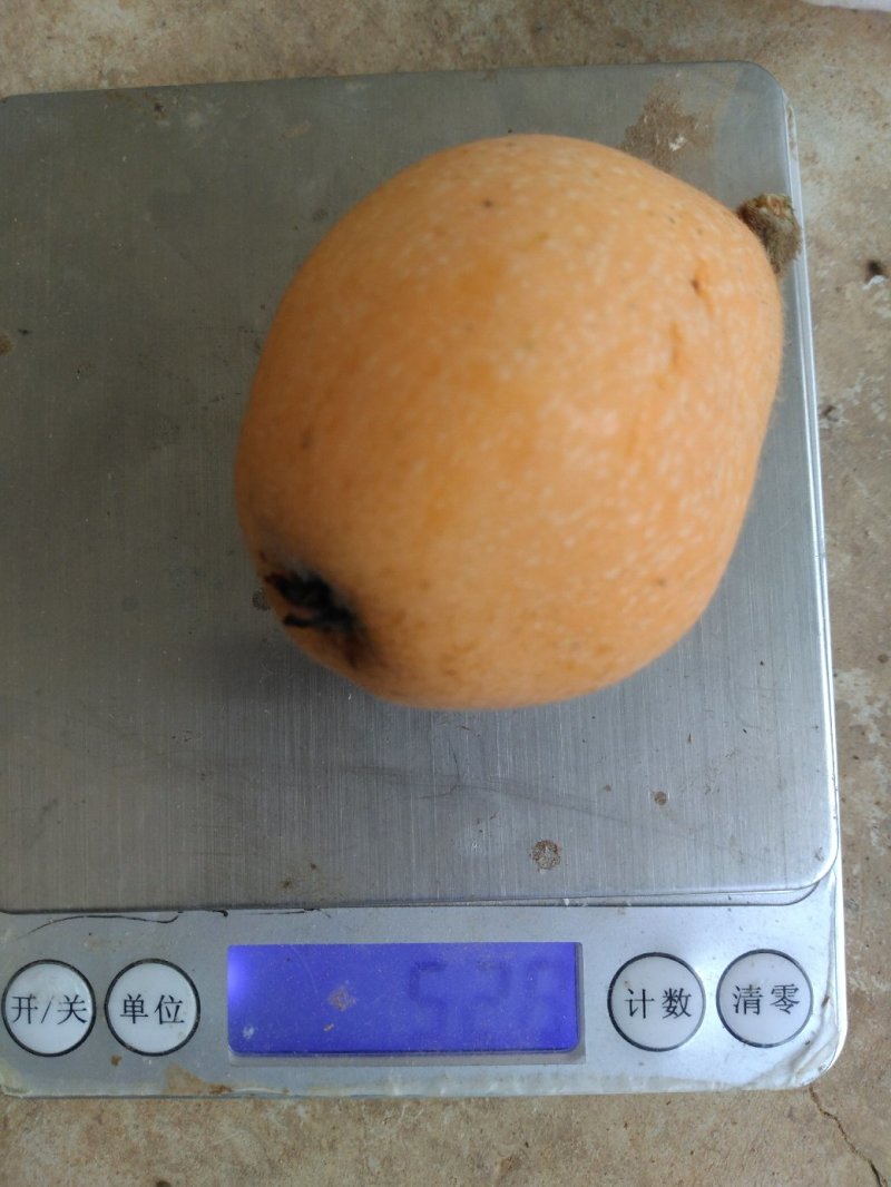 水果蒙自枇杷解放钟枇杷大果