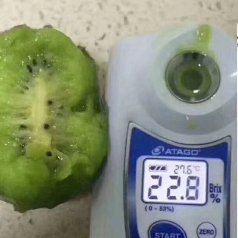 陕西周至徐香猕猴桃