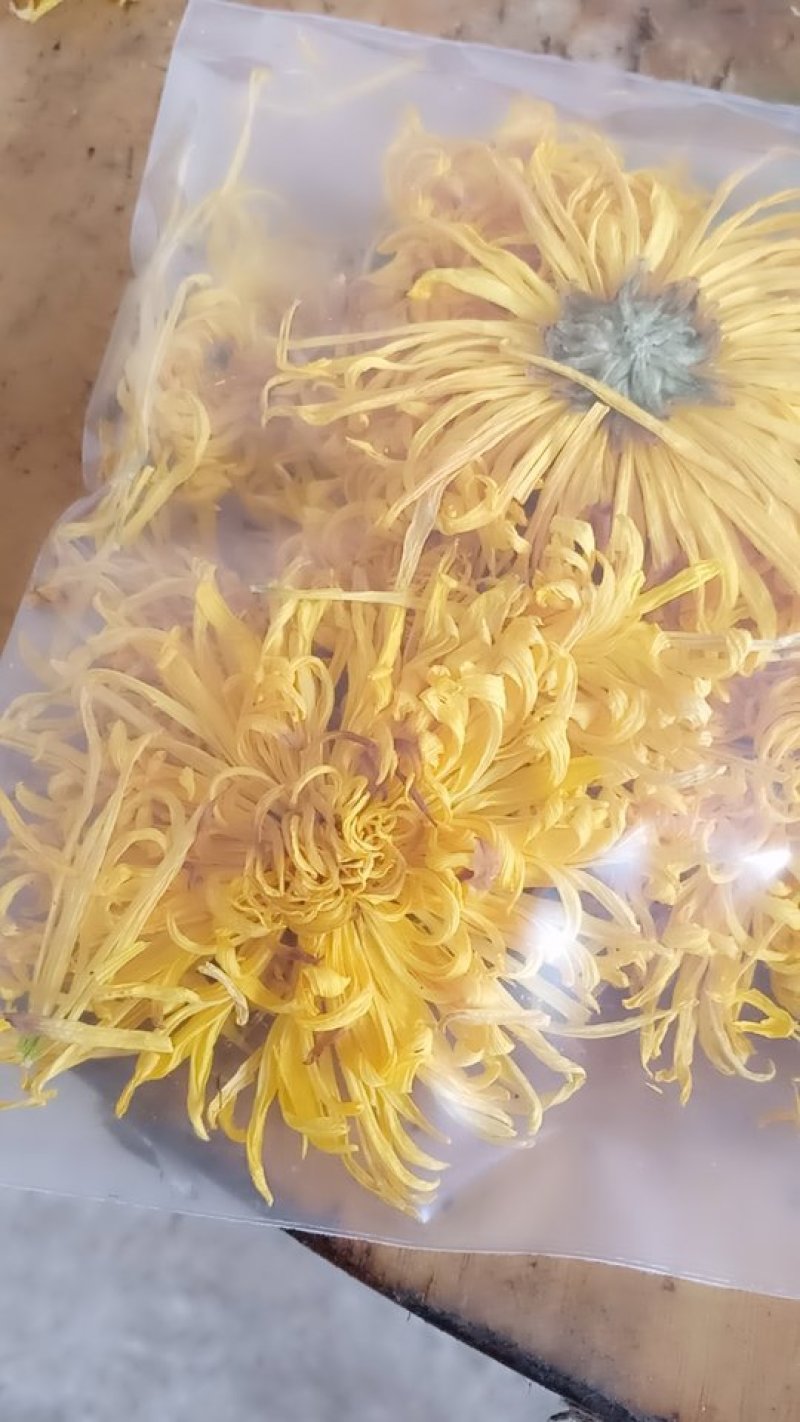特级金丝皇菊，一朵一杯清热去火