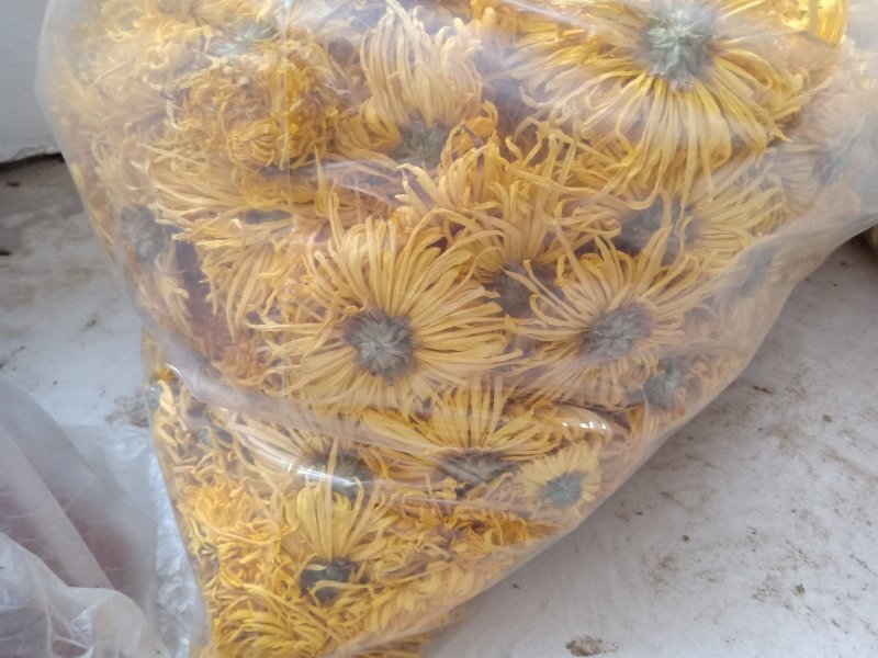 特级金丝皇菊，一朵一杯清热去火