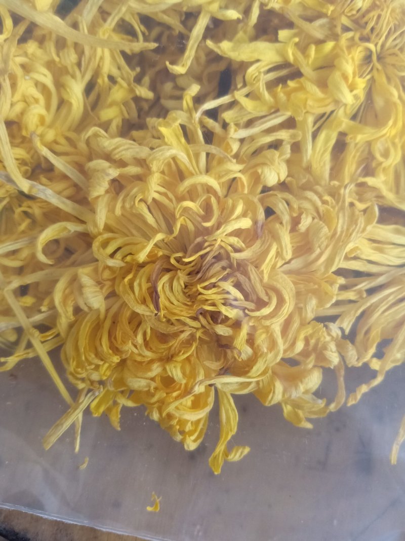 特级金丝皇菊，一朵一杯清热去火