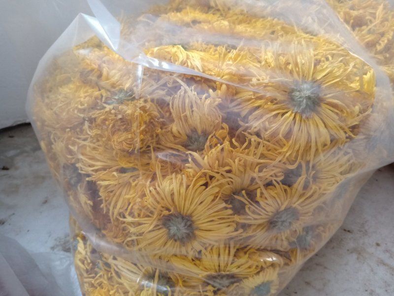 特级金丝皇菊，一朵一杯清热去火
