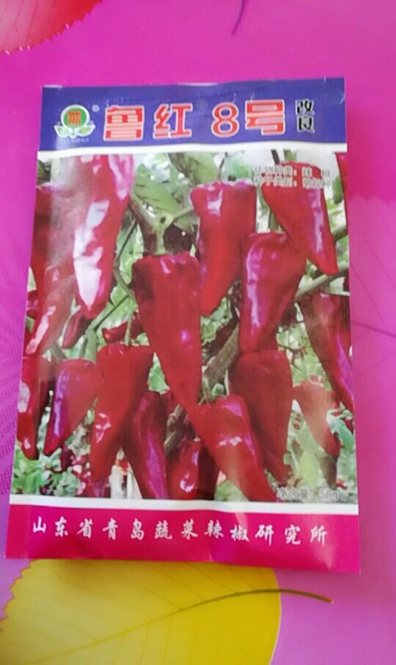 辣椒种子