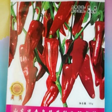 辣椒种子