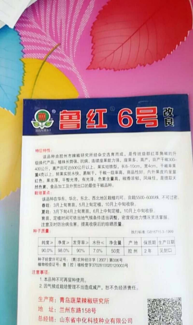 辣椒种子