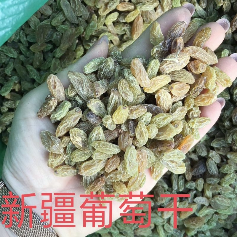 绿无核葡萄干无核一级