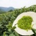 安吉白茶，野生绿茶