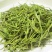 安吉白茶，野生绿茶