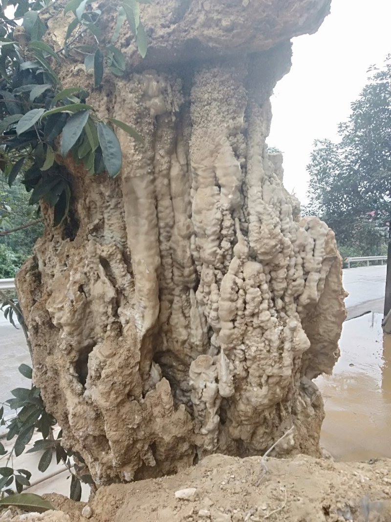 吸水石