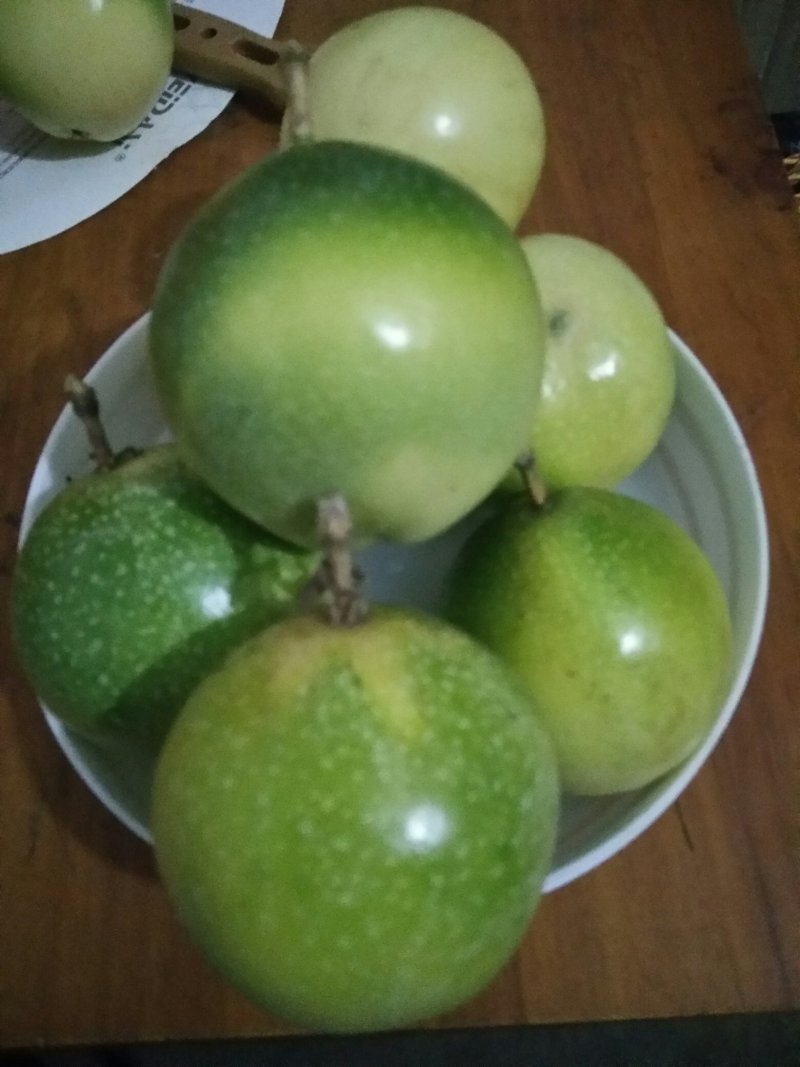 黄金百香果苗