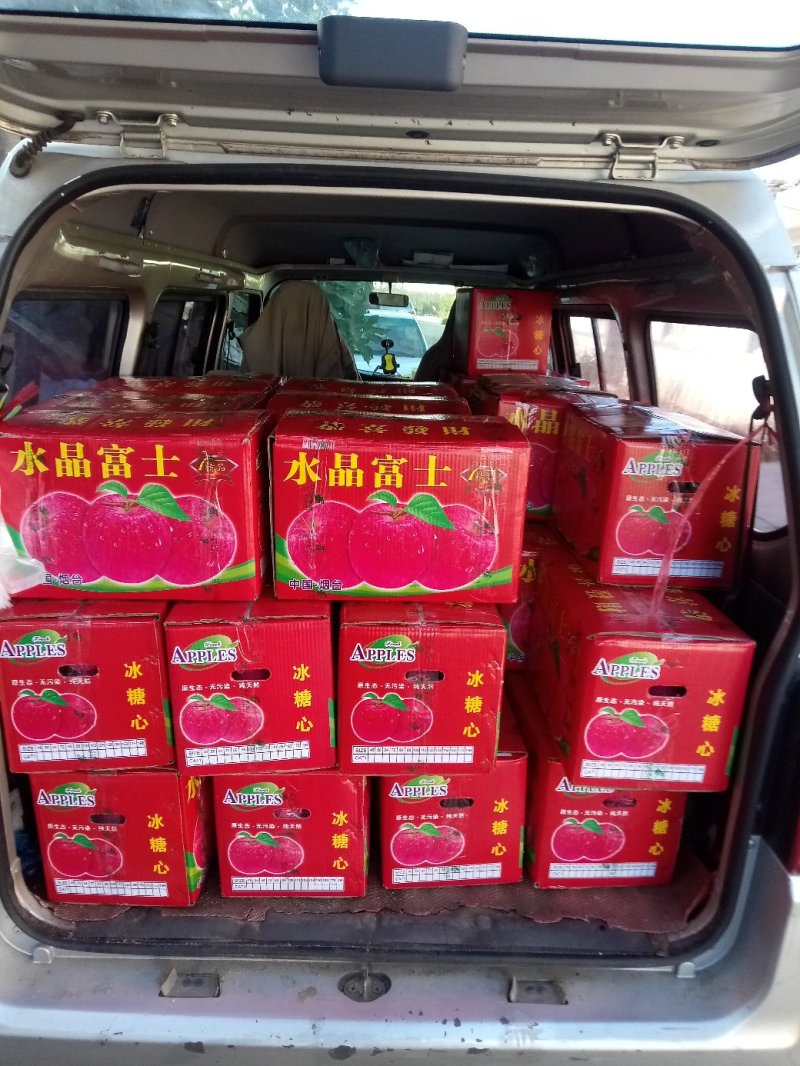 烟台苹果