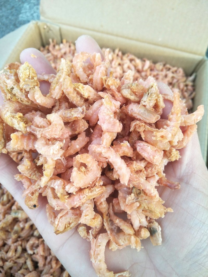 金钩海米