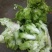 儿菜2斤以上