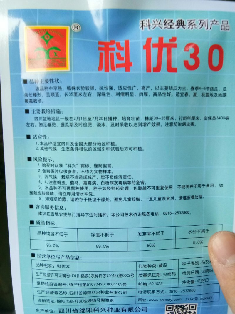 耐热密刺黄瓜种子（科优30）